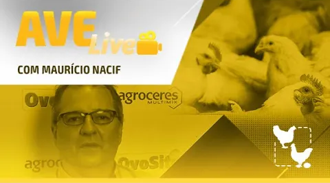 Avelive com Maurício Nacif - plataforma de vídeos do agronegócio - Agroflix